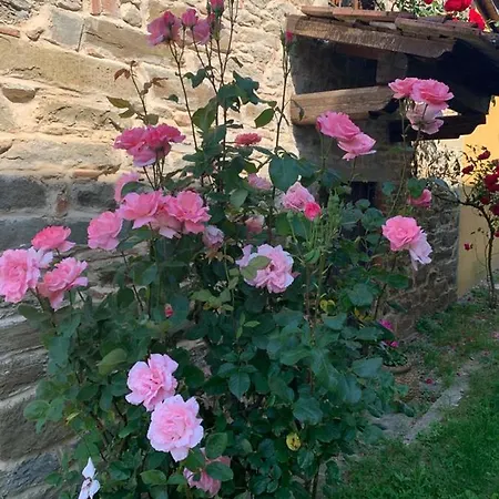 Vakantiehuis Le Mulina Barberino di Mugello