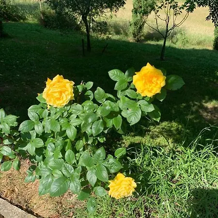 Le Mulina Barberino di Mugello